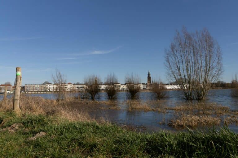The historic skyline of Zutphen, featuring the Walburgiskerk tower, viewed across the flooded IJssel river plains.