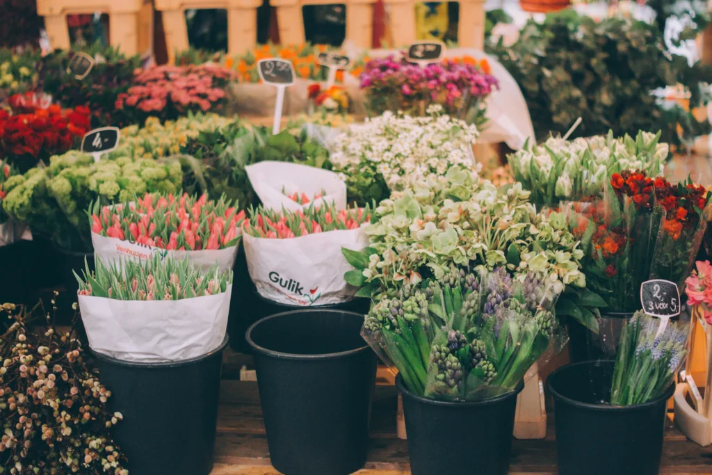 City Game Leiden Flower Market