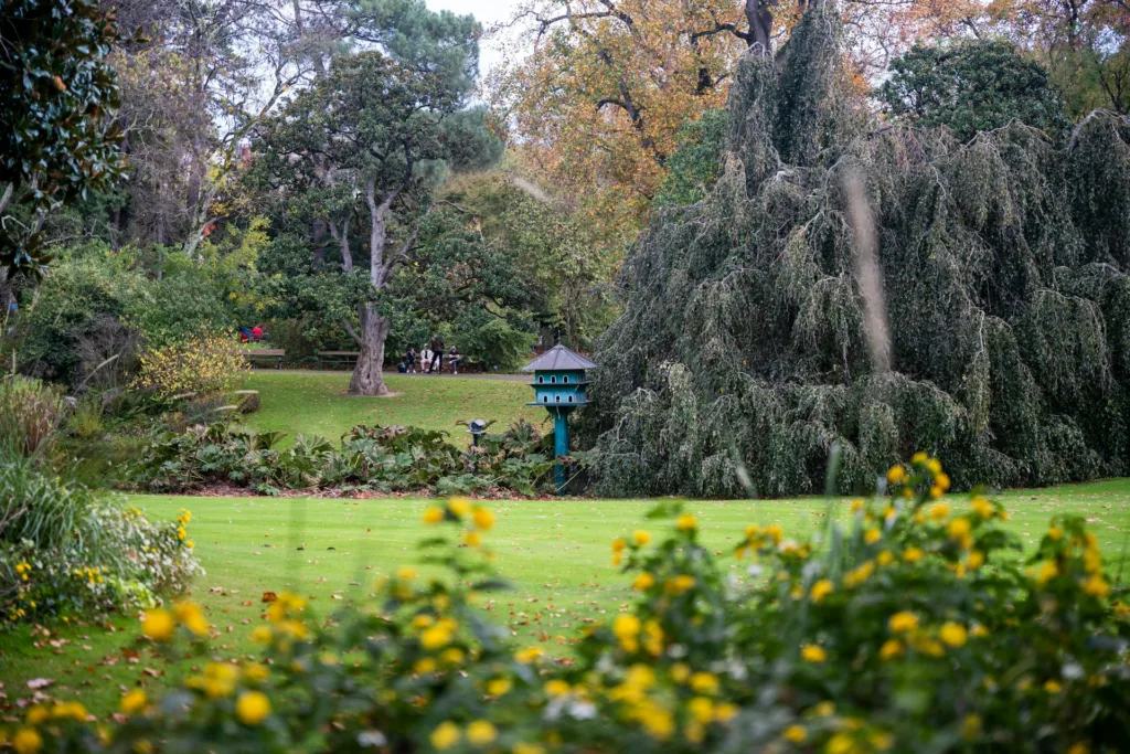 City Game Nantes Jardin des Plantes