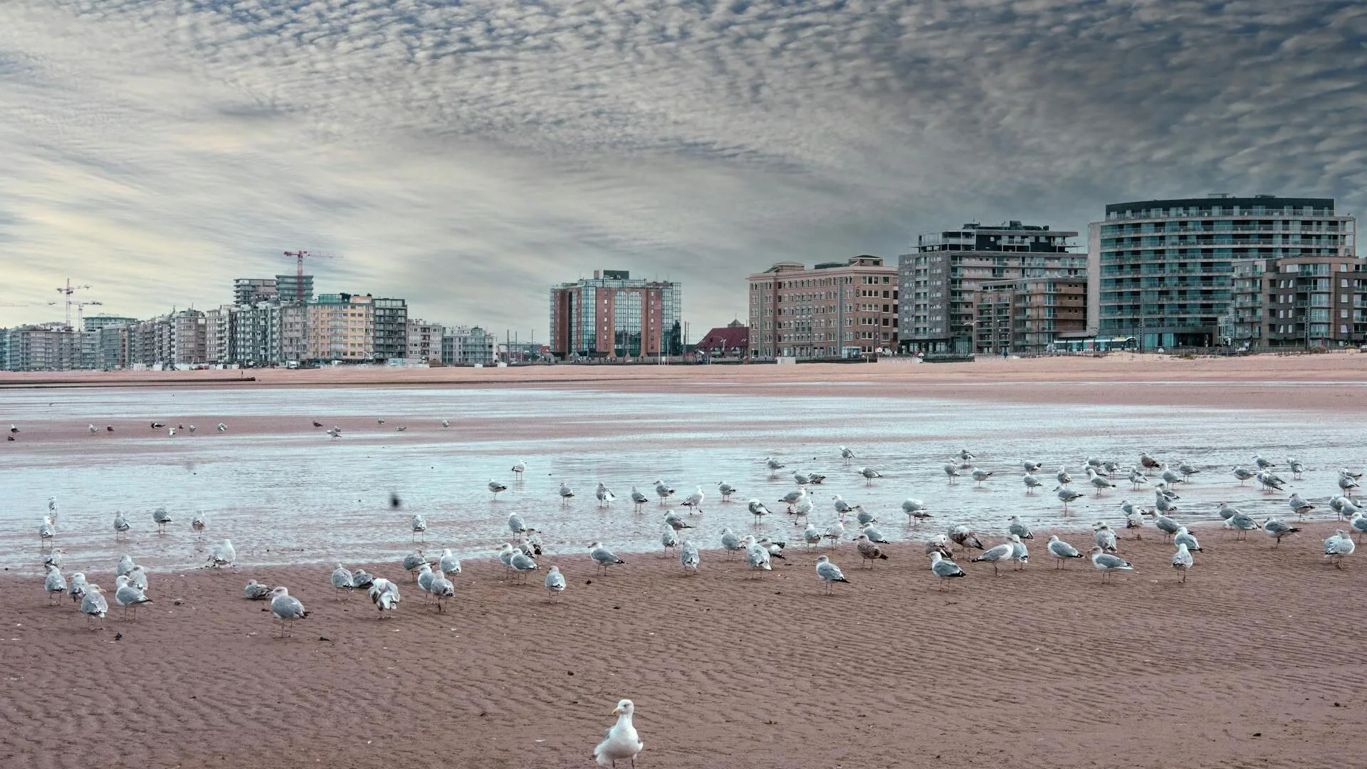 City Game Ostend Beach