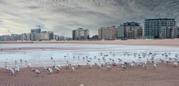 City Game Ostend Beach