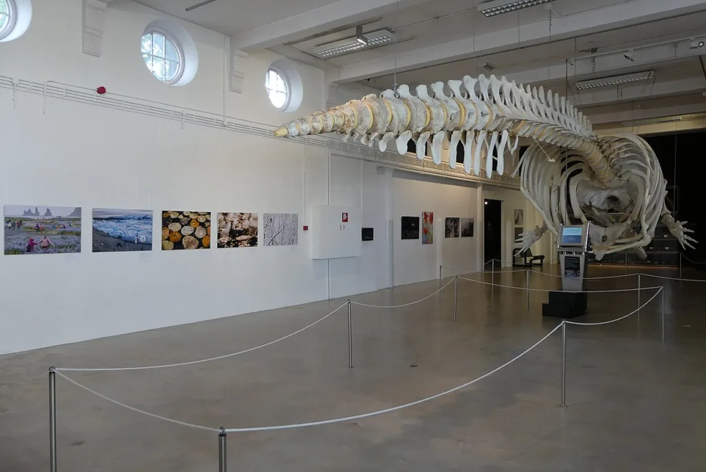 City Game Tilburg Natuurmuseum Brabant