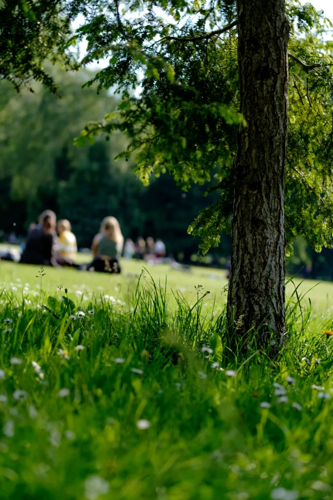 City Game Zwolle Park
