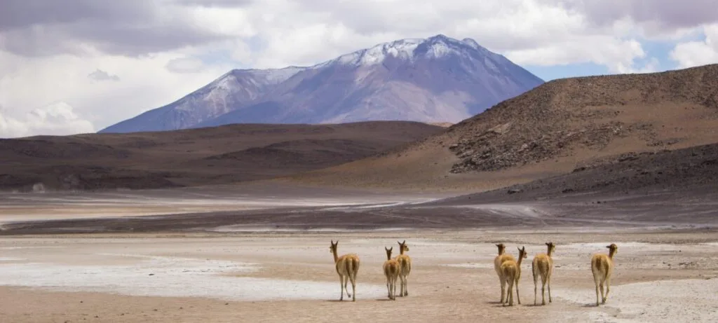 City Game Bolivia