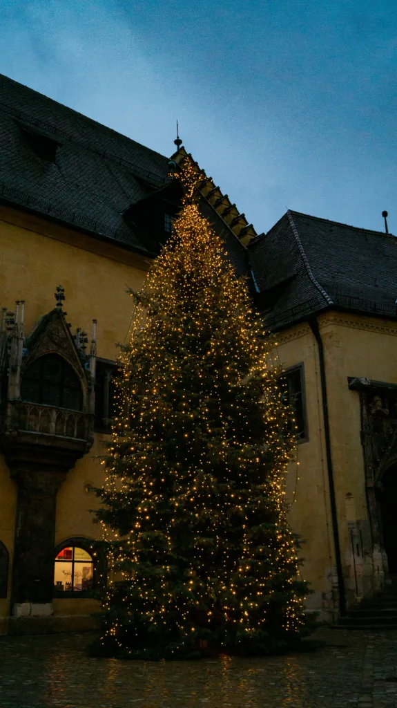 City Game Regensburg Tree