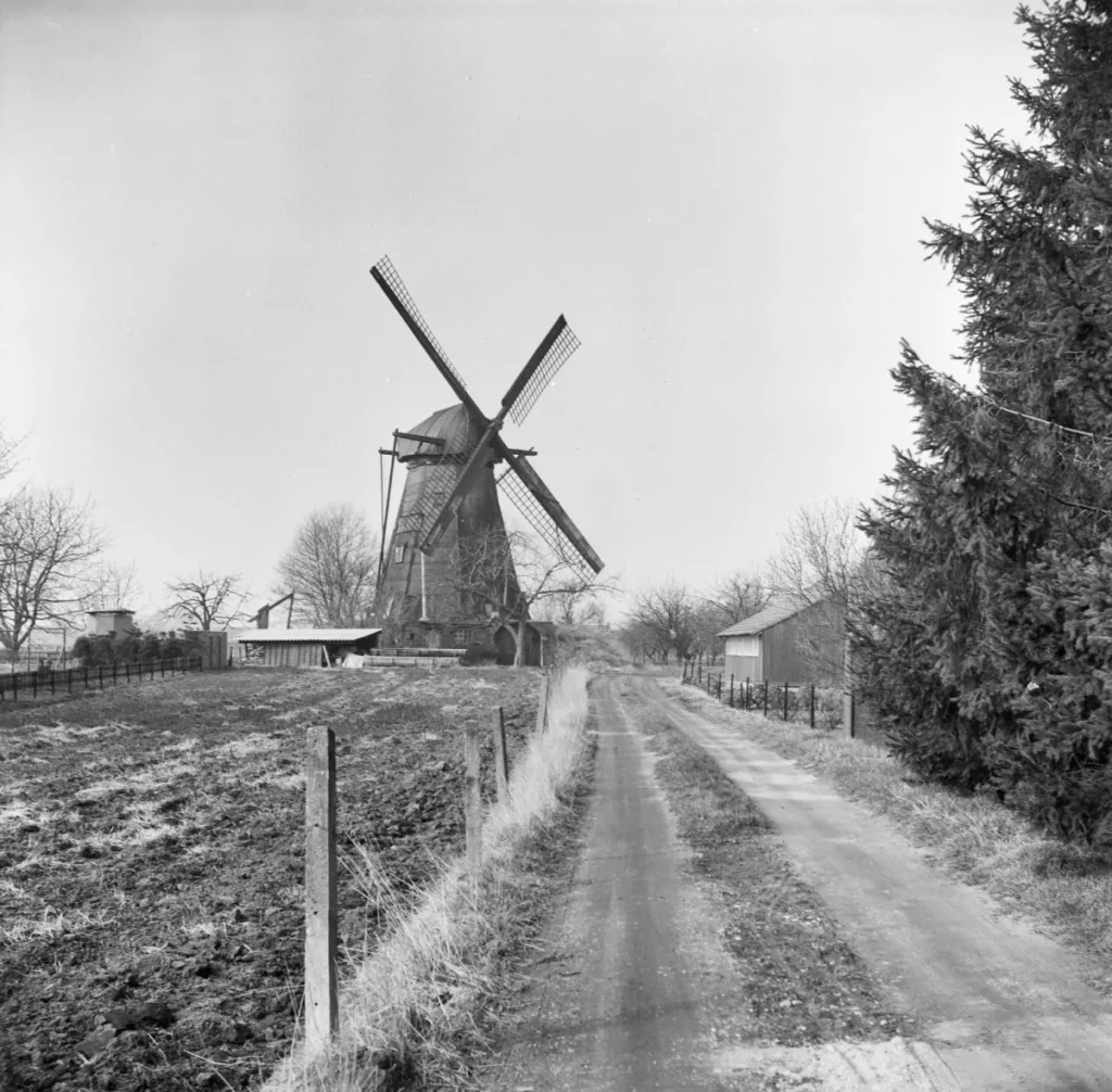 City Game Roermond Molen De Grauwe Beer