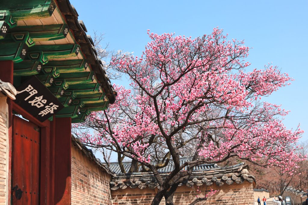 City Game Seoul Changdeokgung Palace