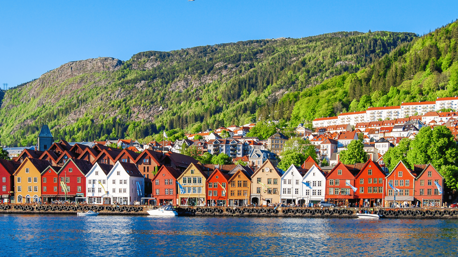 City Game Bergen