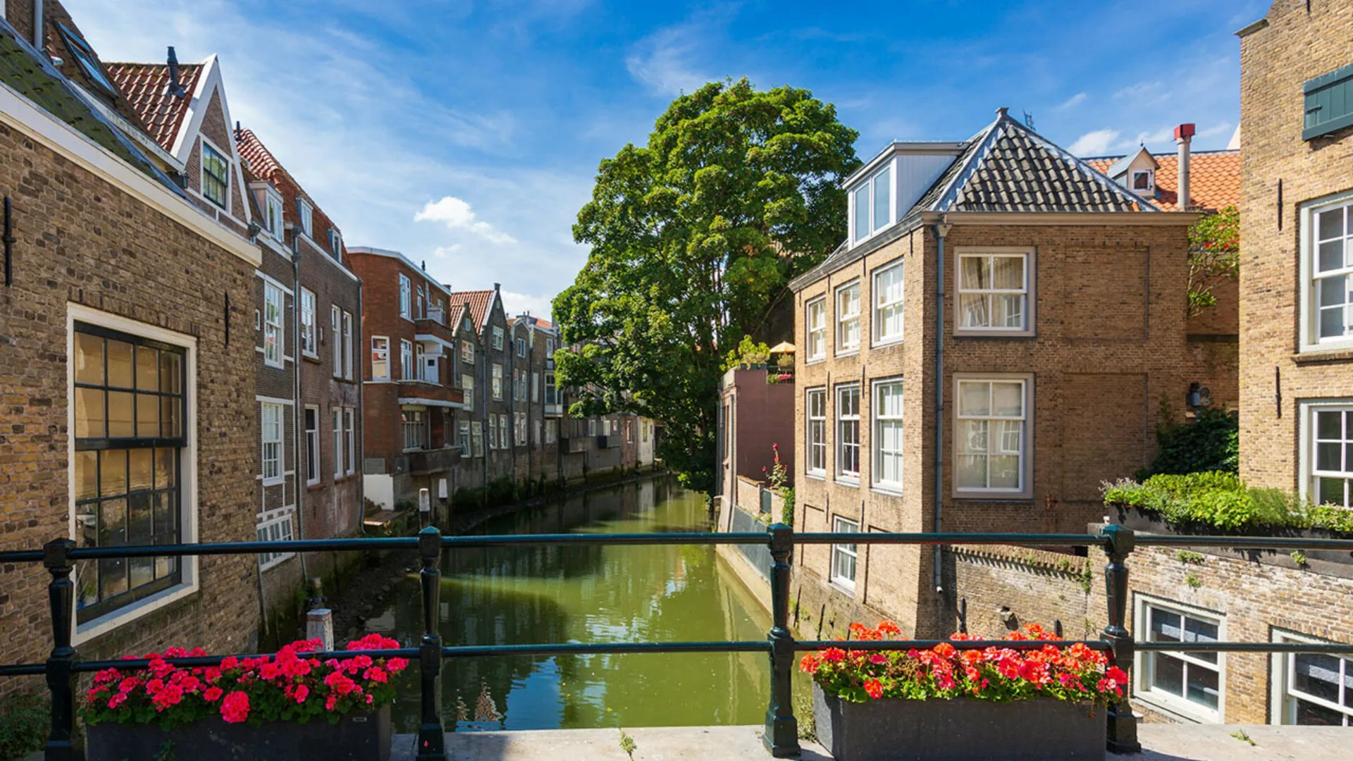 City Game Dordrecht, Stadsspellen