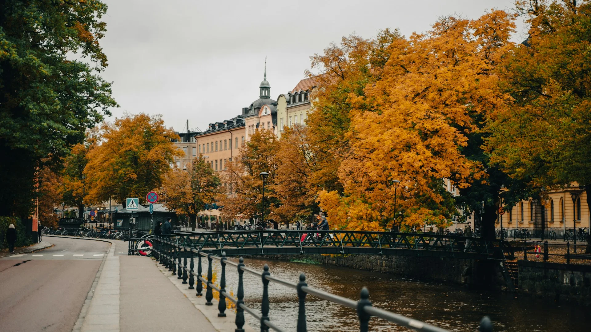 City Game Uppsala Street with trees