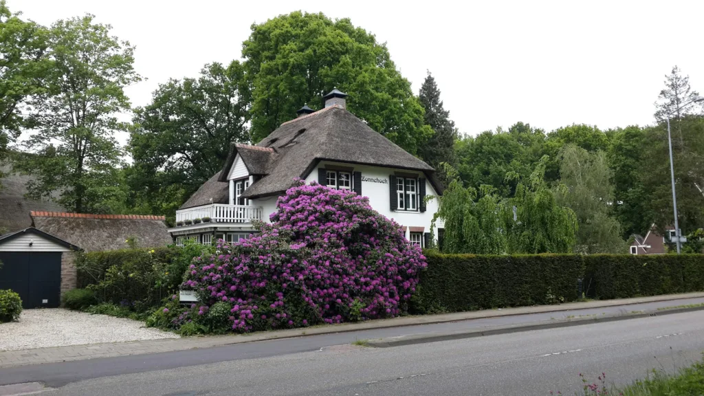 citygame ede house purple flowers
