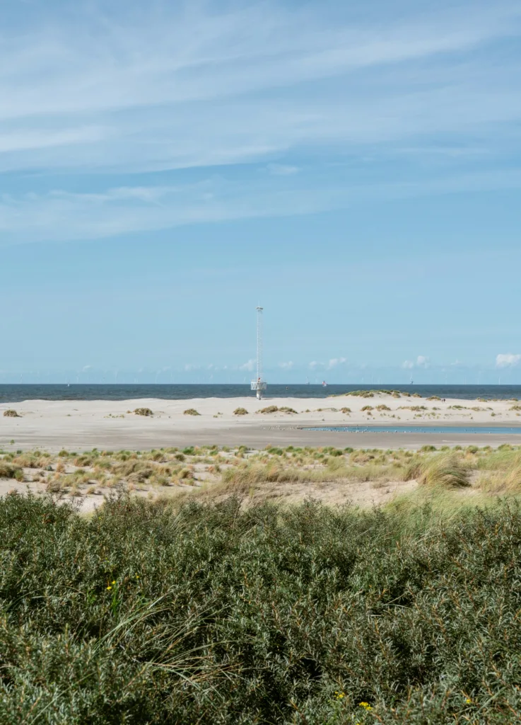 City Game Hoek van Holland the expansive beach at Hoek van Holland stretches out towards the North Sea under a vast sky

