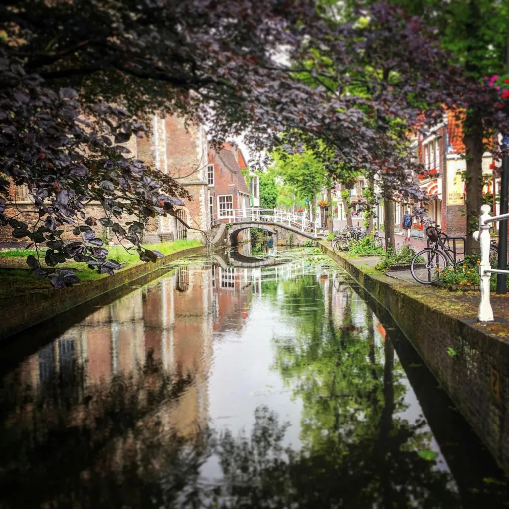 citygame delft bridge over pond