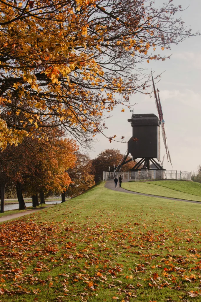 City Game Nieuwleusen Mill