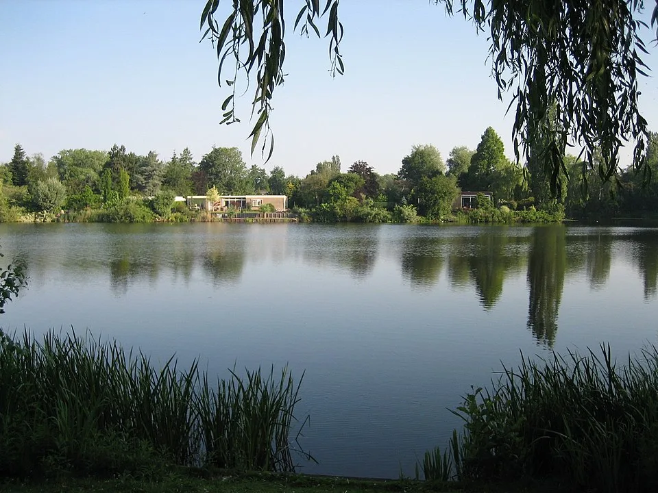 City Game Nieuwsleusen pond trees