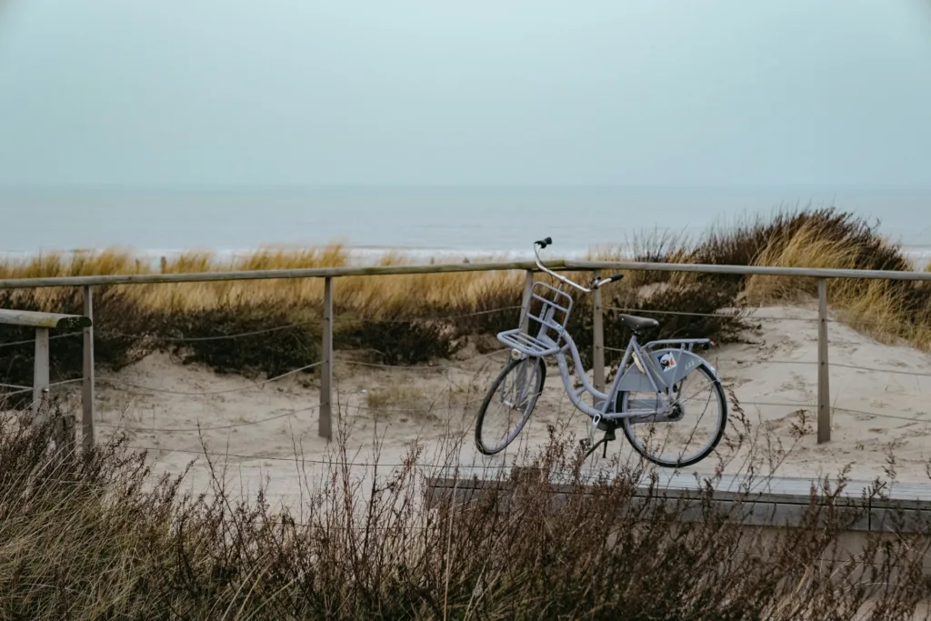 Katwijk aan Zee Bike Dunes
