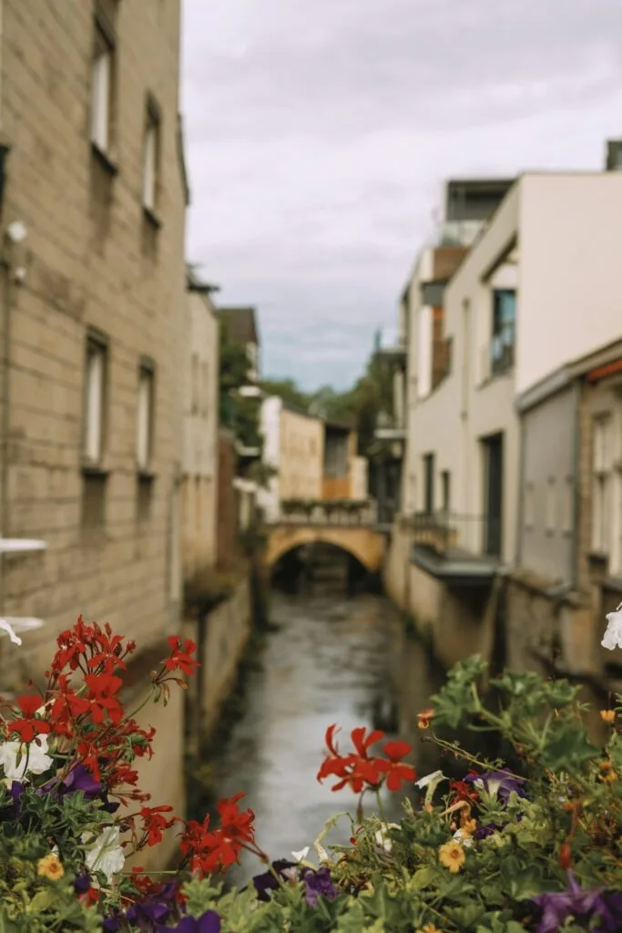 City Game Valkenurg flowers