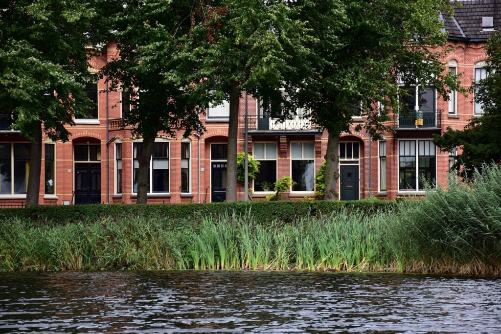 City Game Zutphen trees