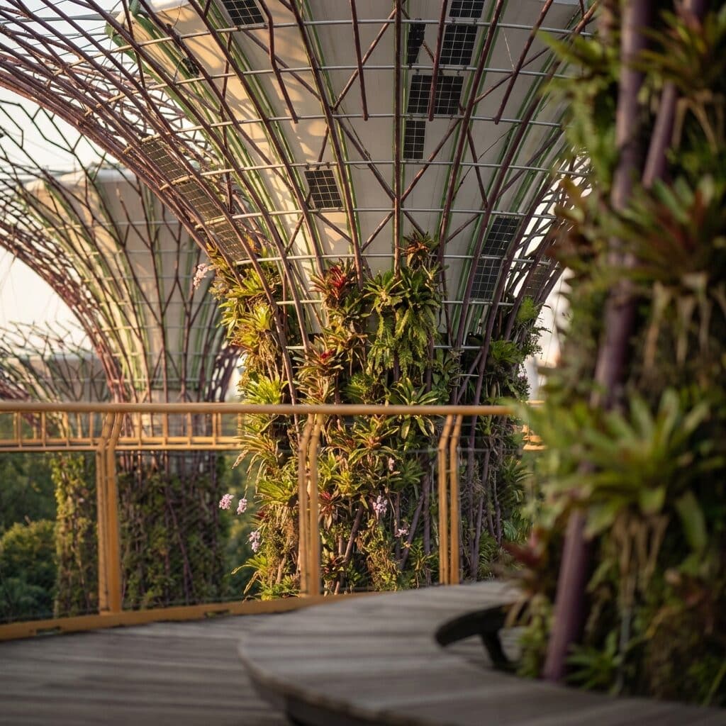 Supertree Grove at Gardens by the Bay