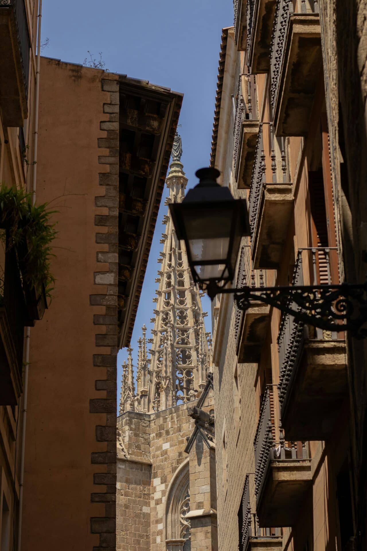 Barcelona Cathedral Spire View