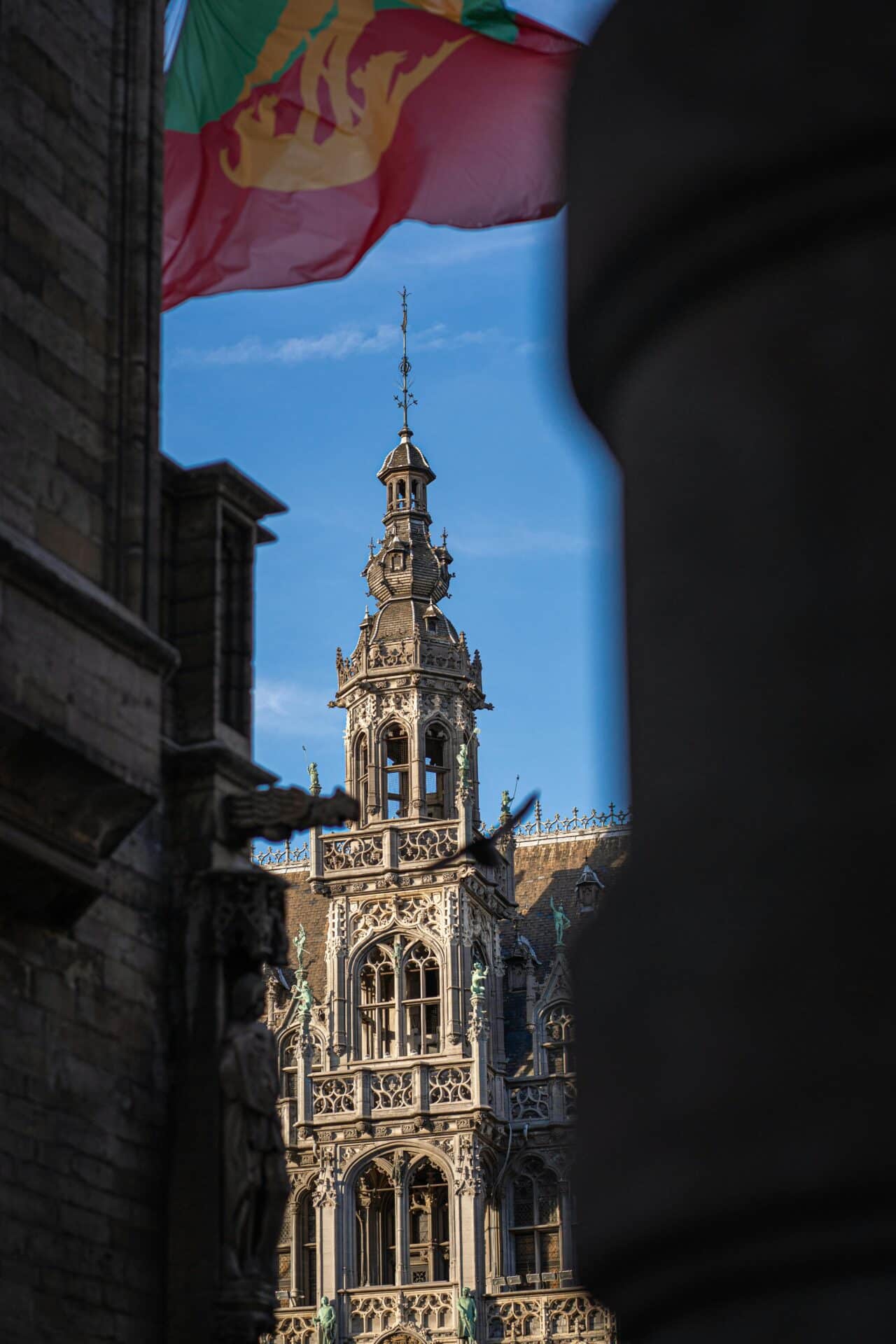 Framed View of the Brussels Town Hall Tower