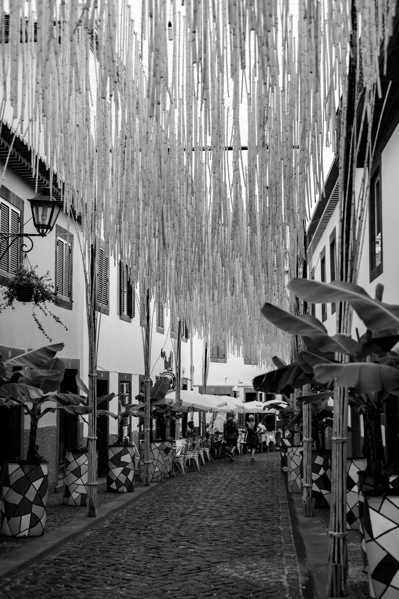 Decorated Street in Funchal's Old Town