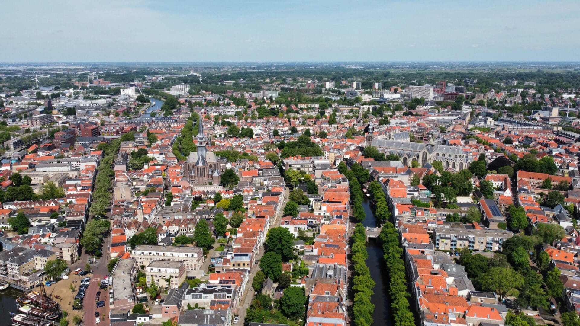 Gouda