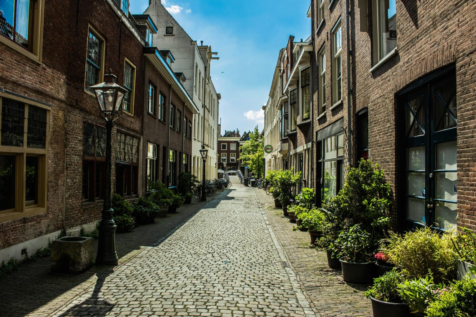 A Charming Cobblestone Street in Leiden