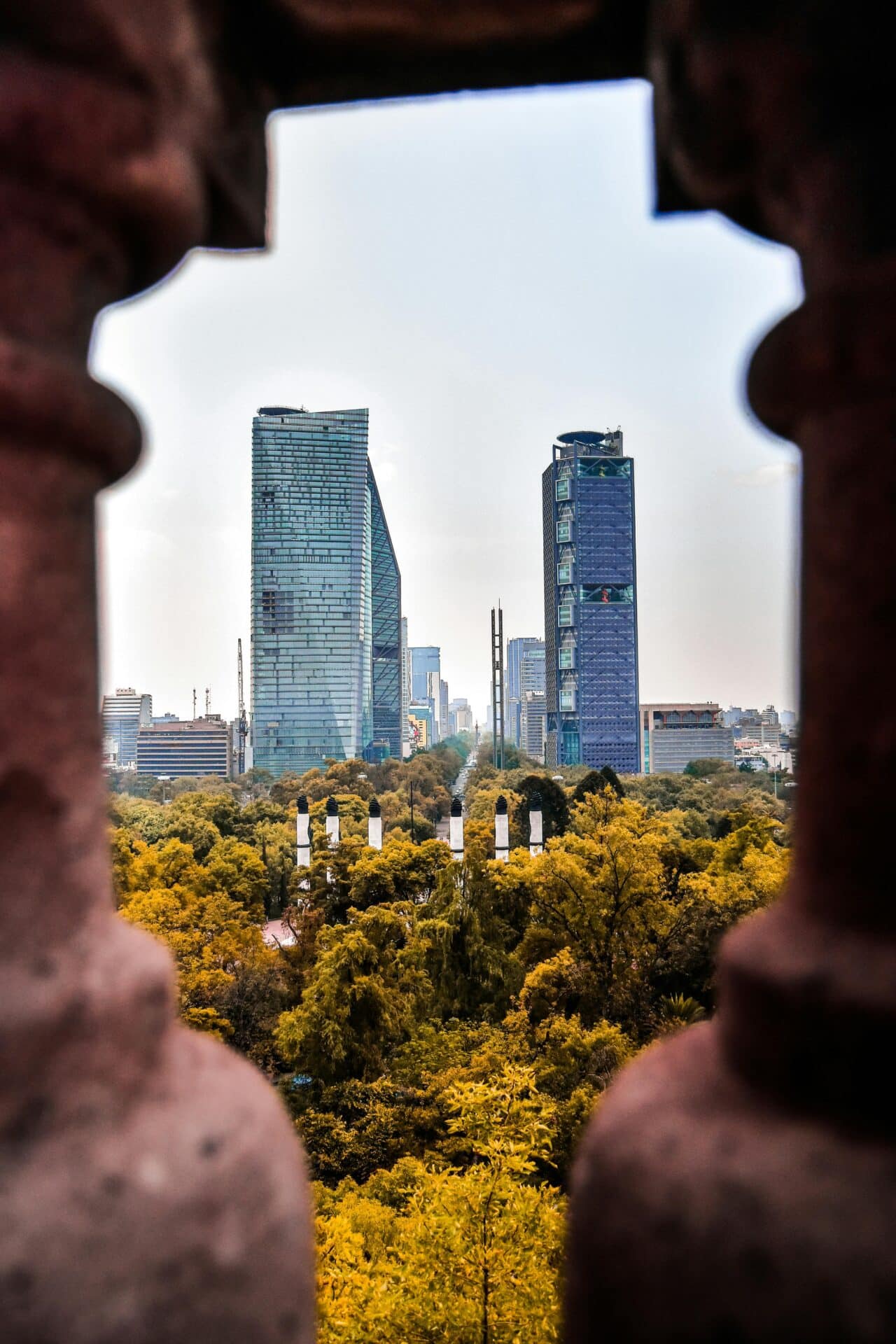 Mexico City Skyline from Chapultepec Park