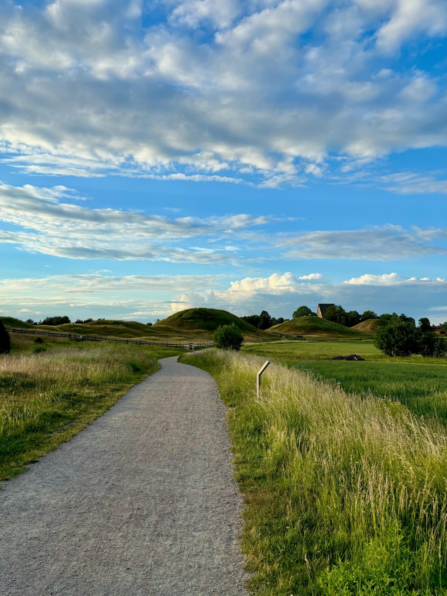 The Royal Mounds of Gamla Uppsala